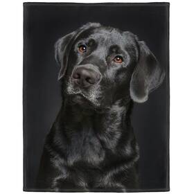 Hommomh 660406689648 Black Lab Blanket Gorgeous Labrador Dog Print Soft Fluffy Fleece Th