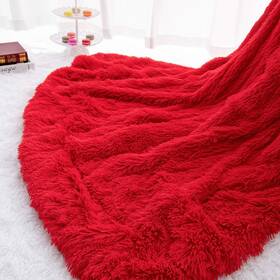 Homore 715002886988 Soft Fluffy Blanket Fuzzy Sherpa Plush Cozy Faux Fur Throw Blankets Fo