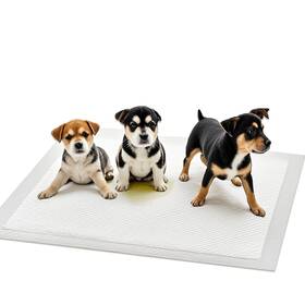 4legs Hq4us 791391417149 Dog Pee Pads Thick/ultra Absorbent Puppy Training Large Size 36”