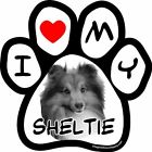 I0283 Imagine This By Car Magnet Picture Paw Sheltie 729173902835