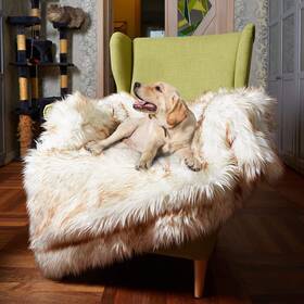 Ws001 Ihappydog Waterproof Dog Blanket For Small Medium And Large Dogs Faux Fur Pet Throw Fo