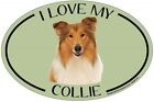 O1455 Imagine This Multicolor Oval Magnet I Love My Collie