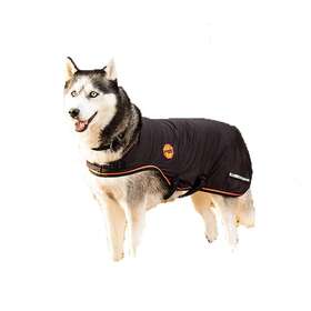 Rrjk60-kks0-me Intrepid International Rambo Ionic Dog Blanket Medium