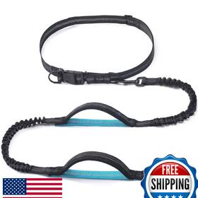 B08l6y4hwg Iyoshop Retractable Hands Free Dog Leash With Dual Handle Bungee For Small-medium D