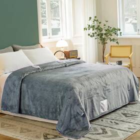 Jets Home Jh-sfhb-003q Heated Blanket Queen 84 Inch X90 - Etl&fcc Certified Flannel Electric