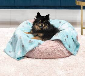Juicy Couture 646760173310 Turquoise Blue Dog Blanket Plush Puppy Throw Printed Breathable
