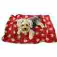 Kblnk054 Klippo Pet Silly Monkey Ultra-plush Blanket Burgundy One Size 022099857228