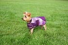 Kd533ltms131 Kensington Signature Dog Coat 789088065629