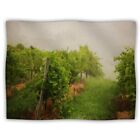 At1018aab01 Kess Inhouse Angie Turner Grape Vines Foggy Dog Blanket 60 By