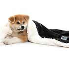 Kri-4440 Kritterworld Pet Microplush Sherpa 745950516552