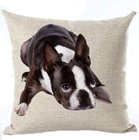Lacanu 773822230633 Cotton Linen Cute Funny Various Pet Dogs Human Friends Boston Terrier Throw