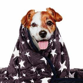 Lasyl 6a08ad213b9a199c25fad9b8 Weighted Blanket For Pets Thunder Dogs Anxiety Premium Soft Minky