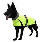 Leddog-eb404 Derby Originals Light Up