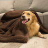 Lf1821 Allisandro Premium Fluffy Dog Cat Upgrade Double Thickness 696596804438