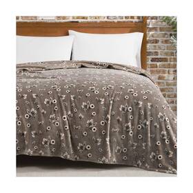 Lbw027950 Lucky Brand Daisy Beige Floral 90 Inch X90 Cozy Plush Blanket - Premium... Fast Ship