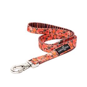 B07m7b42s5 Lucy & Co. And Posy Pink 5ft Dog Leash Designer Pet Small Medium Large