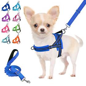 B09mkqv6mc Lukovee No Pull Small Dog Harness Leash Set Reflective Adjustable Vest 4ft