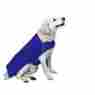 M0tley Mottley Mutt Brand New X-large Fleece Dog Jacket Royal Blue