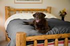 Mambe Blanket Company Bed Blankets Waterproof Dogs Pet Sleeper Sofa Large Charcoal Heather 610585996270