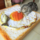 Muv5182113chegr6117 Unbranded Pet Blanket For Dog Cat Fried Egg Shaped Quilt