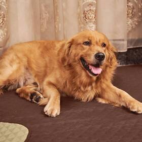 Nicetown 768837422159 Dog Bed Cover For Pets Blankets Rug Pads Couch Protection Waterproof