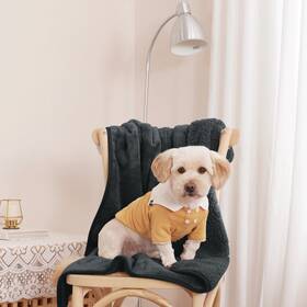 Nicetown 768837427628 Waterproof Dog Blankets For Small Pets - Cat Mat Washable Couch Fur