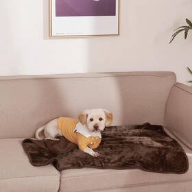 Nicetown 768837427789 Waterproof Blanket Cover 40 Inch X 50 For Adults Dogs Cats Or Any Pets Large M