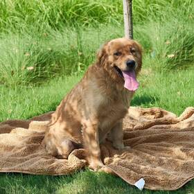 Nicetown 768837427833 Waterproof Dog Blanket 50 X 60 In Soft Throws For Couch Sofa Bed Reversible