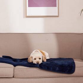 Vcntustbdl49wp1-40x50c02 Nicetown Waterproof Dog Blanket Soft Fluffy Plush With Reversible Sherpa Couch Bed Cov