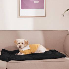 Vcntustbdl49wp1-40x50c05 Nicetown Waterproof Dog Blanket 40 X 50 In Soft Bed Mats For Couch Sofa Cover Re