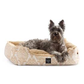 2-e042-179 Nicole Miller New York Pet Mod Damask Plushy Bolster Bed Cozy And Calming