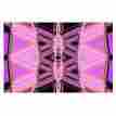 Nm1023afm01 Inhouse Nina May Decorama Pink Decorative Doormat 24 X 36in Home Kitchen Features 784682790571