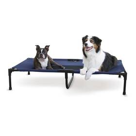 100213551 No Original Pet Cot Elevated Dog Bed Blue/black Mesh X-large 50 X 32 9 Inches