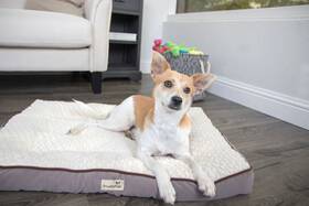 No 786306605803 Love Deluxe Crate Mattress Tufted Pillow Pet Bed - Gray Medium