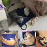 No.tk-hpp5050 50 50cm Unbranded Pvc Pet Heating Pad Led Digital Display Temperature Control