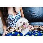 Not Cozypets Bed Blankets Paw 714131638222