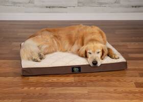 Qpt-moc-l-2 Nvision Marketing Llc Ortho Quilted Pillowtop Pet Bed
