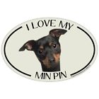 O1530 Imagine This Oval Magnet Love My Min Pin 729173915309