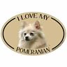 O1540 Imagine This Oval Magnet Love My Pomeranian 729173915408