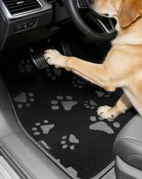 Oemats Dt1525-hh-j Cute Embroidered Dog Paw Car Floor Mats For Pet Lovers Universal Fit All Wea
