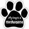 P0188 Imagine This Paw Car Magnet My Dog Is 729173901883