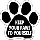 P0312 Imagine This Paw Car