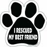 P0335 Imagine This Paw Car Magnet Rescued My Best 729173903351