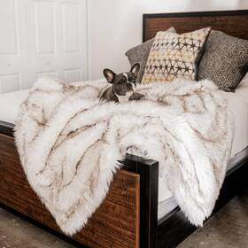 Paw 810085910701 Paws Pupprotector Waterproof Throw Blanket Nip White With Brown 60x 50 Original