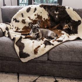 Paw Brands 636947144929 Pupprotector Waterproof Throw Blanket For Dogs And Cats Pet Cover Fo