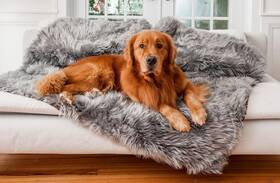 Paw Brands 810085911937 Pupprotector Waterproof Throw Blanket For Dogs And Cats Pet Cover Fo