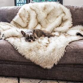 Pup91181-kw Paw Brands Pupprotector Waterproof Throw Blanket For Dogs And Cats Pet Cover Fo