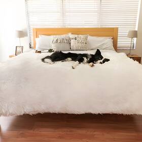 Pup91185 Paw Brands Pupprotector Waterproof Throw Blanket Faux Fur Polar White L