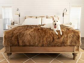 Pup91287 Paw Brands Pupprotector Waterproof Throw Blanket Faux Fur Sable Tan L