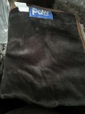 Paw.com 810085911951 Pupprotector Waterproof Throw Blanket Grey- Short Fur 50x60